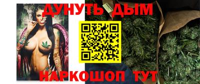 сатива Можайск