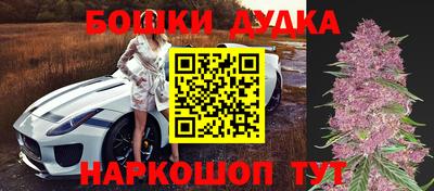 сатива Можайск
