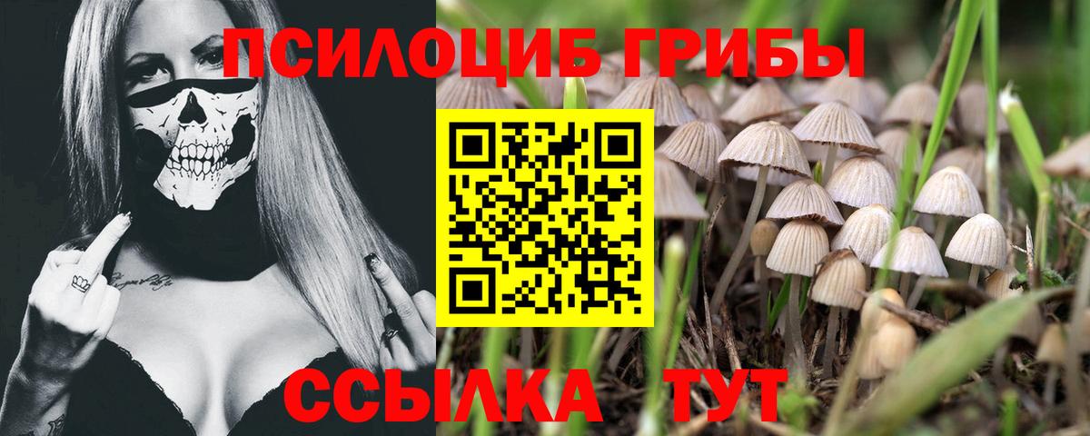 Галлюциногенные грибы Magic Shrooms Тула